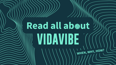 READ ALL ABOUT VIDAVIBE VOLLEYBALL