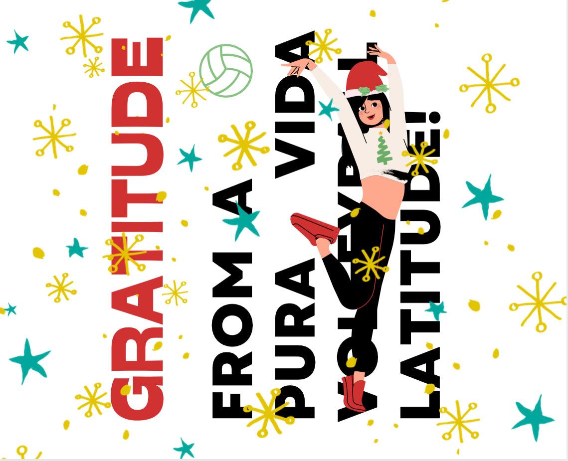 Gratitude From A Pura Vida Volleyball Latitude! - VidaVibe