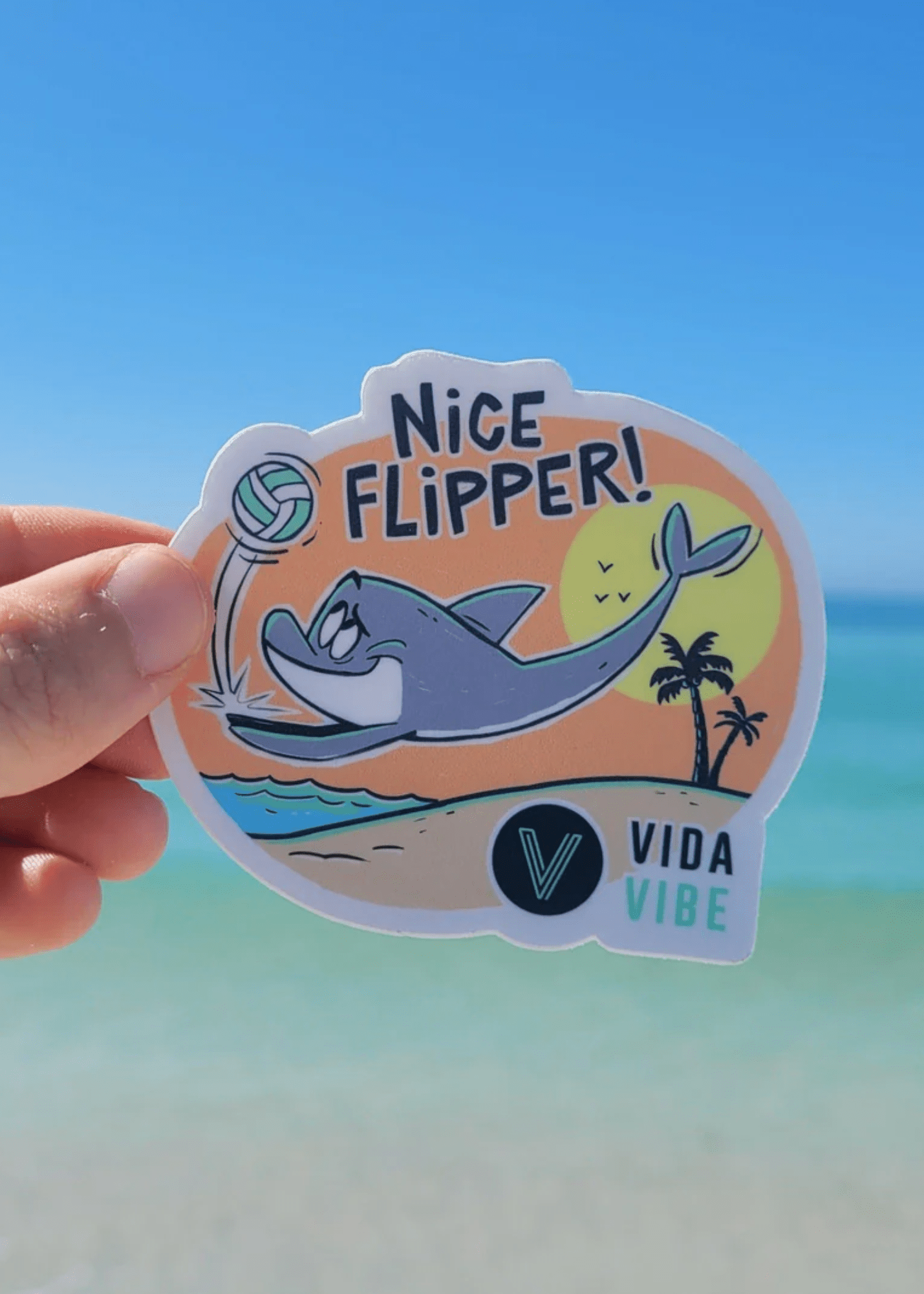 Nice Flipper Volleyball Sticker