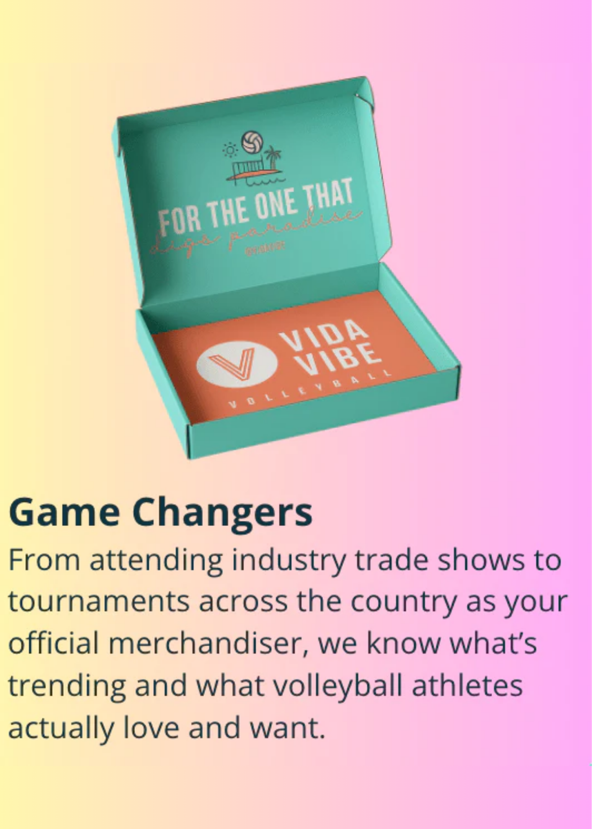 Vida Vibe volleyball packaging on a gradient background with promotional text.