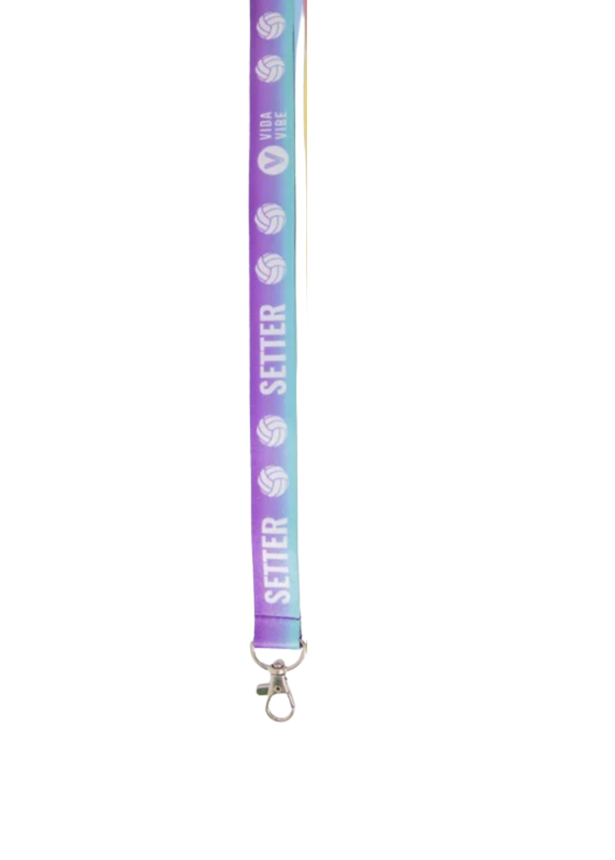 Setter Gift Bundle