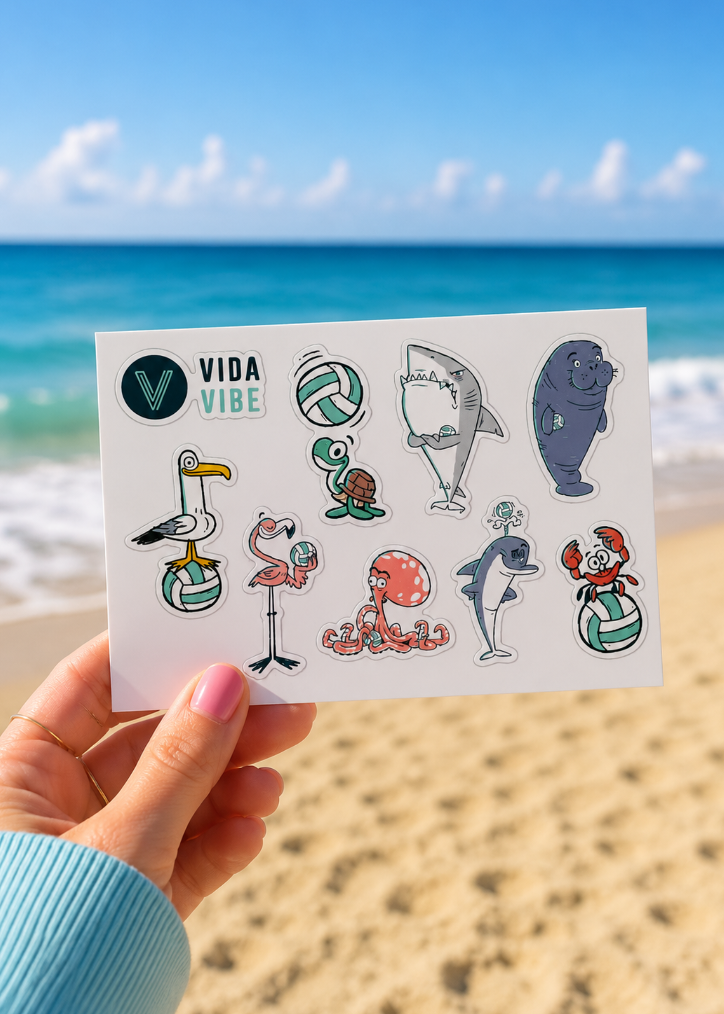 Big Kahuna Volleyball Sticker Sheet