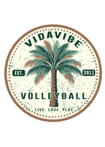 Vidavibe Volleyball logo with palm tree design on a white background